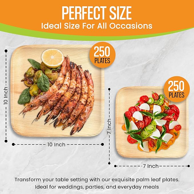 Raj Palm Leaf Plates Bulk [50-Pack] 10" & 7" Square Plates (10 CASES - 500 PACK) like Bamboo plates Disposable, Strong, Decorative Compostable Tableware for weddings, Lunch, Dinners